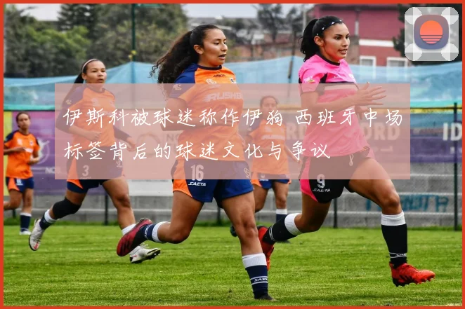 伊斯科被球迷称作伊狗 西班牙中场标签背后的球迷文化与争议